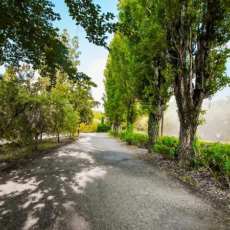 & Country Holidays דירה