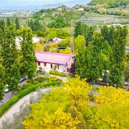 Apartment & Country Holidays *