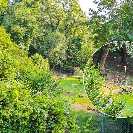 דירה & Country Holidays