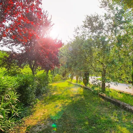 Apartment & Country Holidays *